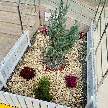 Summerland Nord Mamaia